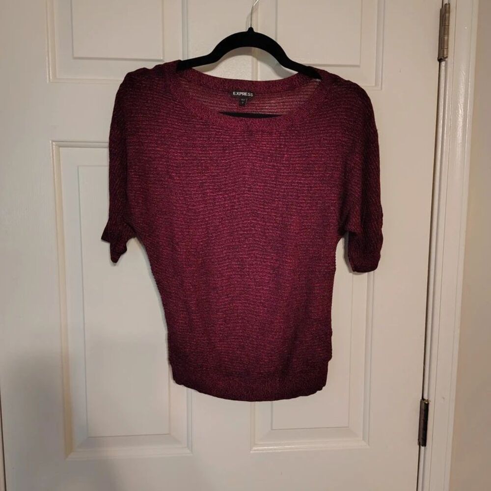 Express Purple Sweater Size Small